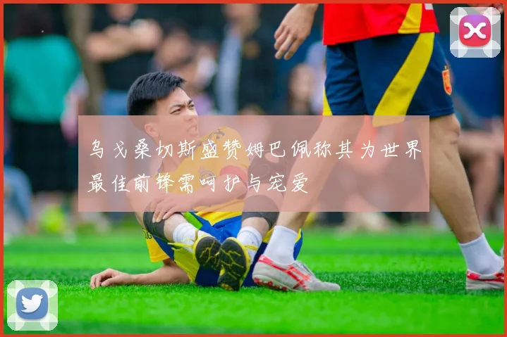 乌戈桑切斯盛赞姆巴佩称其为世界最佳前锋需呵护与宠爱
