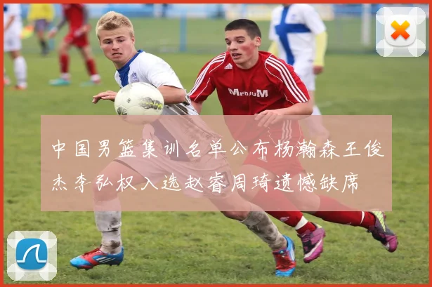 中国男篮集训名单公布杨瀚森王俊杰李弘权入选赵睿周琦遗憾缺席